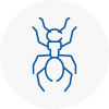 Ant Removals In Sauchie