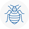Bed Bug Extermination In Sauchie