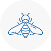 Bee Nest Removal Sauchie