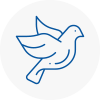 Bird Prevention Sauchie