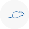 Mice Exterminators In Sauchie