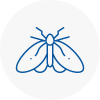 Moth Control Specialists In Sauchie