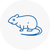 Rat Control Sauchie