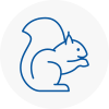 Sauchie Rodent Removals
